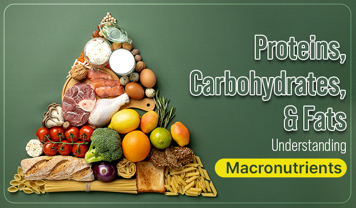 Proteins, Carbohydrates, and Fats
