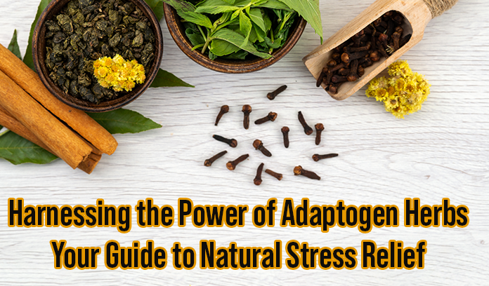 Harnessing the Power of Adaptogen Herbs: Your Guide to Natural Stress Relief