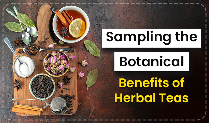 Sampling the Botanical Benefits of Herbal Teas