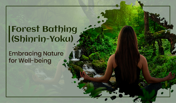 Forest Bathing (Shinrin-Yoku): Embrace Nature for Enhanced Well-being